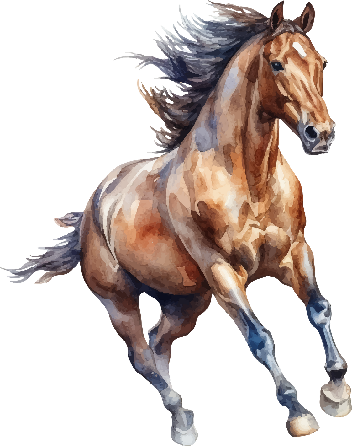 horse watercolor illustration