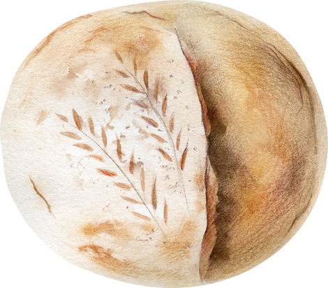 Watercolor Round Sourdough Bread Illustration